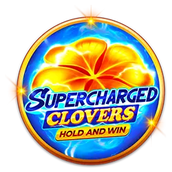 6r bet renato cassino Android